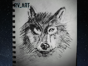 Wolf  drawing #Art #as good as a game #Jesus loves ya