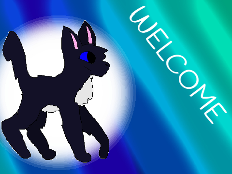 ✧ Welcome ✧