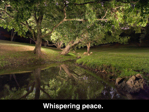 Serenity-Poem Project for AP Lit