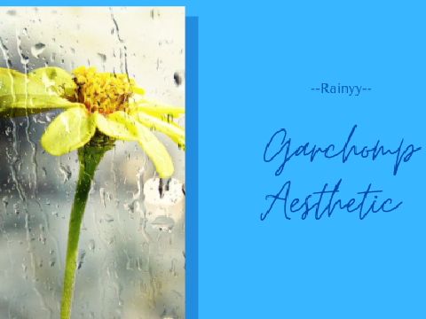 Garchomp Aesthetic