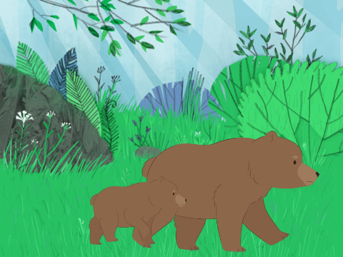 Mama bear and Baby bear walking
