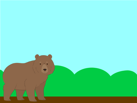 Bear motions