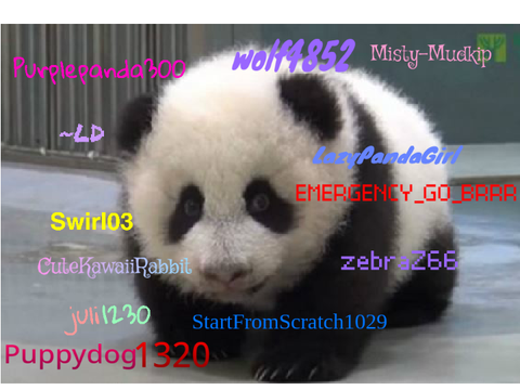 Sign if you are against PANDA POACHING! REMIX REMIX REMIX REMIX REMIX REMIX REMIX REMIX remix… remix