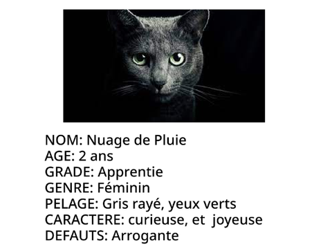 Fiche Clan des Ténèbres