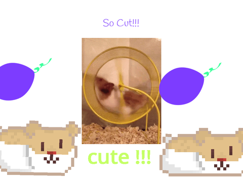 Cute boal Oh Yes