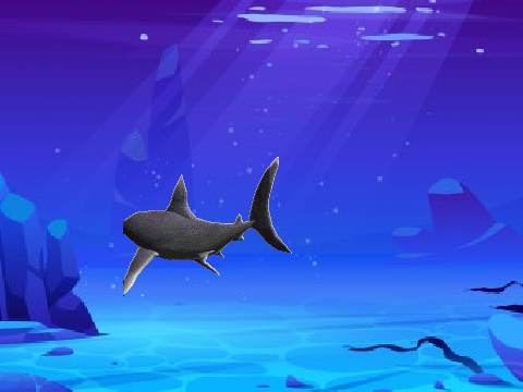 Baby Shark