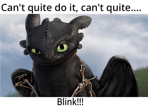 Httyd meme (more coming soon)(I hope)