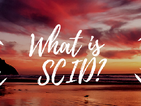 What is SCID?