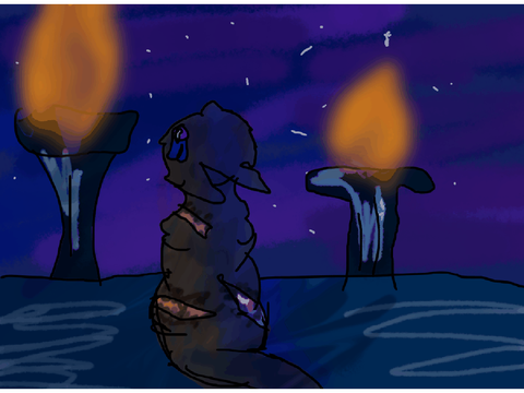 Sunset Lover | 9
