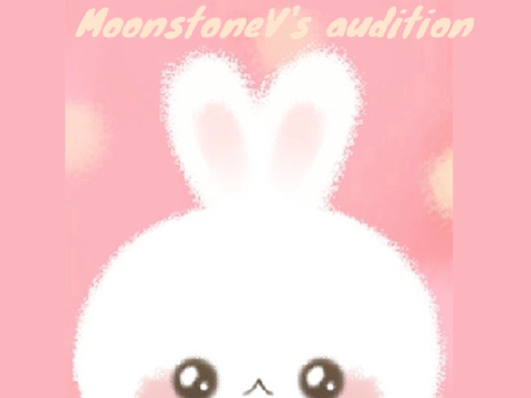 The Secret Valley audition 