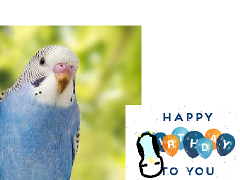 Happy Birthday!