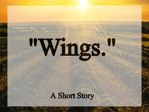 ♢ “Wings,” ♢ Extract/Short Story ♢