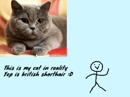 My Cat In Reality