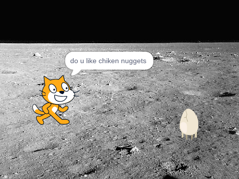 moon cat( funny cat