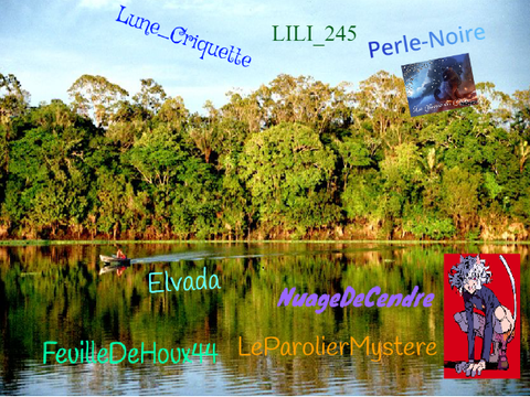 Luttons contre la déforestation de la forêt Amazonienne!! Signer et remixer remix remix remix remix