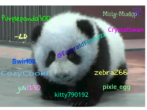 Sign if you are against PANDA POACHING! REMIX REMIX REMIX REMIX REMIX REMIX REMIX REMIX remix… remix