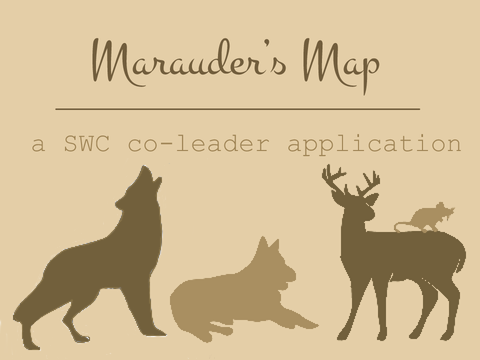 marauder's map | a swc co-leader application ✧