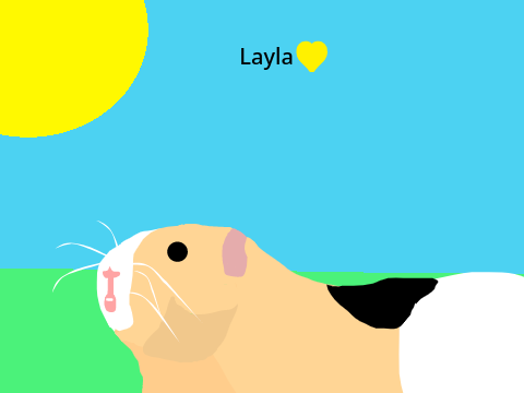 Two more cute guinea pigs {mine}