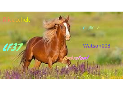 Signe et remixe si tu aimes (ou adores)les chevaux / 