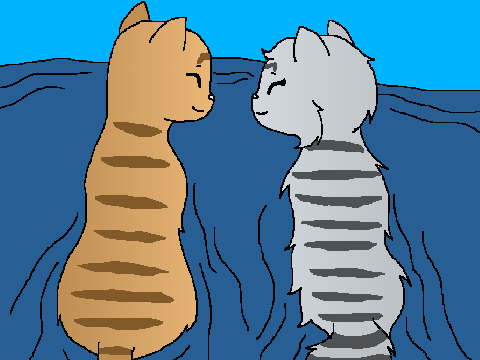Swimming Cats CCE
