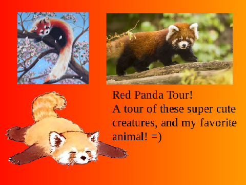 Virtual Red Panda Tour