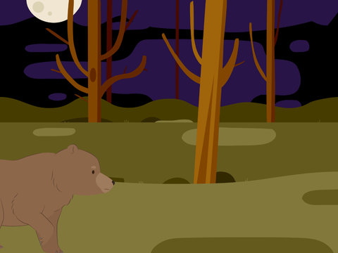 Talk to the bear