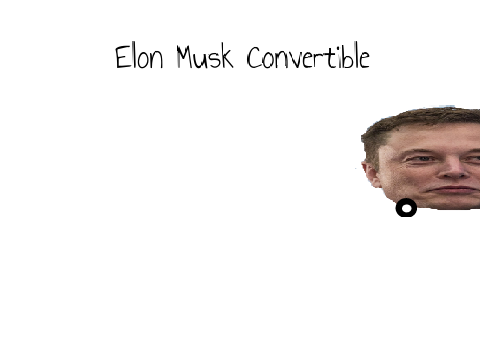 Elon Musk convertible