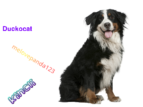 Sign here to stop dog cruelty!!! remix remix