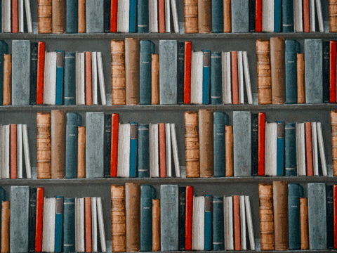 The library - a co-leader application