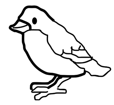 How to draw a bird (tutorial)