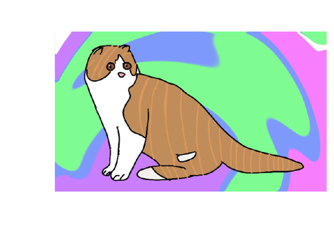 Scottish Fold cat drawing