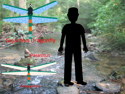 Several dragonfly-like creatures for spec. evo