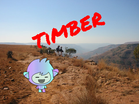Timber - Pitbull (ft. K$sha) remix