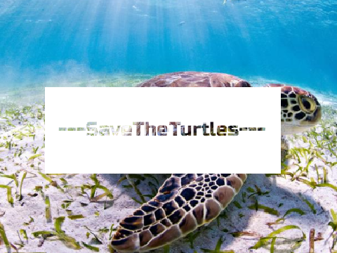 >>Banner for ---SaveTheTurtles---