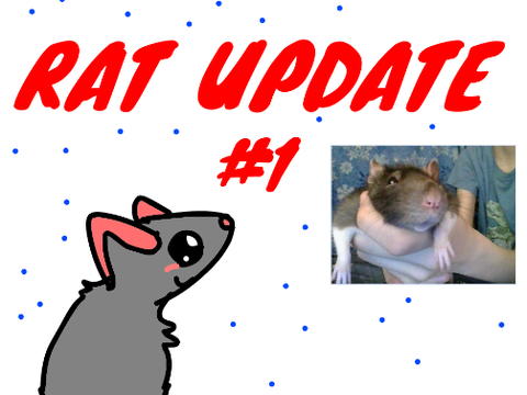 Rat Update #1