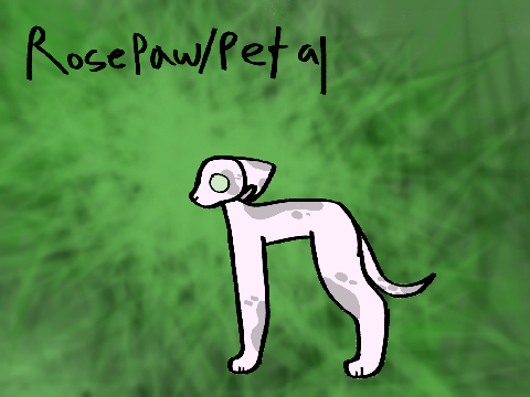 rosepetal