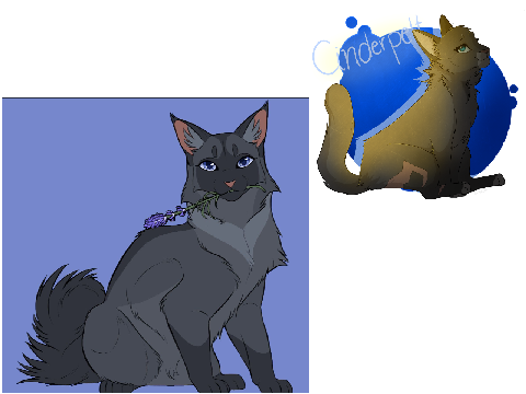Homecoming Queen?~ Cinderpelt pt.2