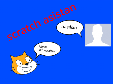 scratch asistan