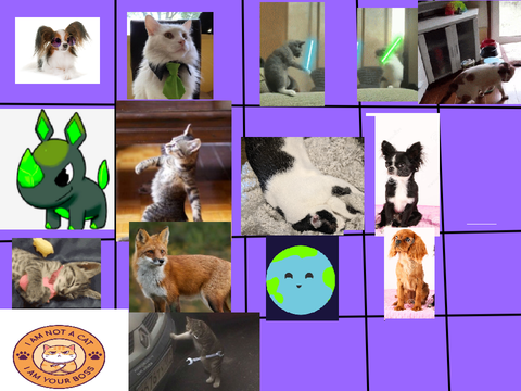 Pet home