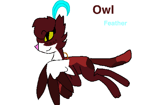 100 follows contest entry