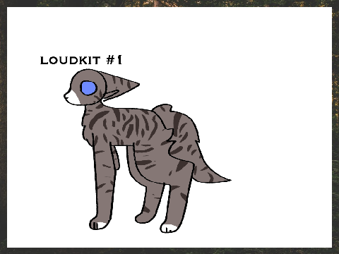 lost kits litter :: 1 