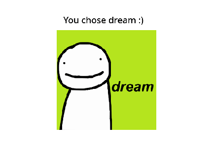 Whos better? Dream or technoblade?