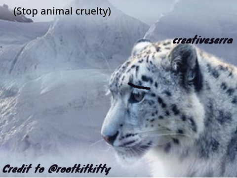 sign if you hate animal cruelty