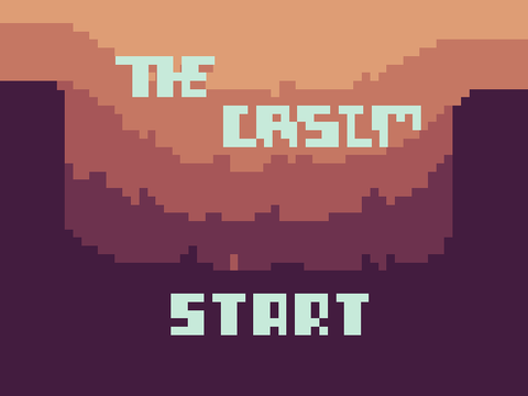 The Casim