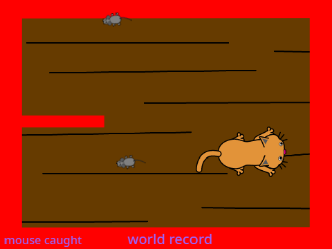 catch the mouse!
