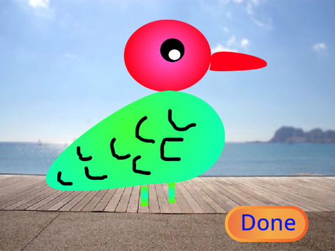 My Pet bird!