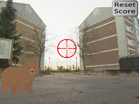 Shoot the bear