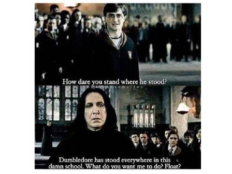 10+ Harry Potter Memes