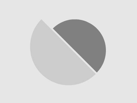 Vexile Logo