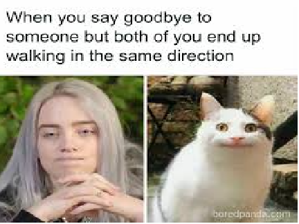 relatable memes 